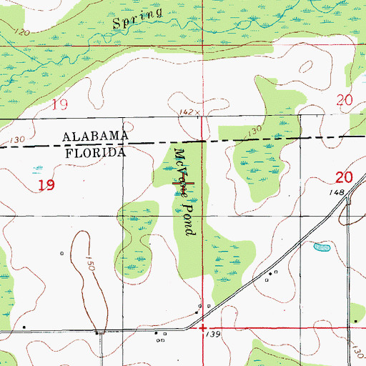 Topographic Map of McVane Pond, FL