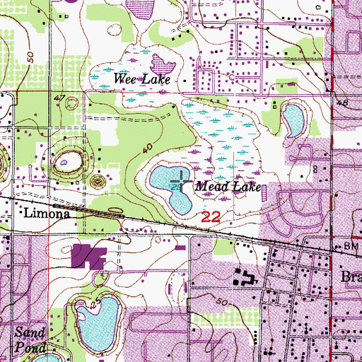 Topographic Map of Mead Lake, FL