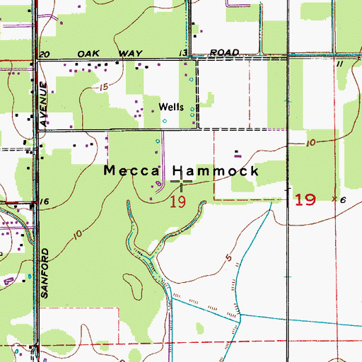 Topographic Map of Mecca Hammock, FL