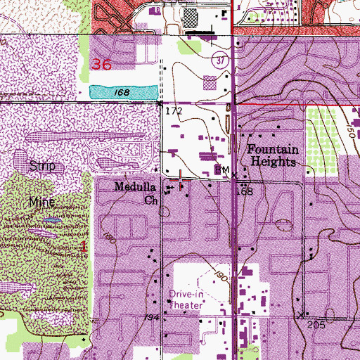 Topographic Map of Medulla Church, FL