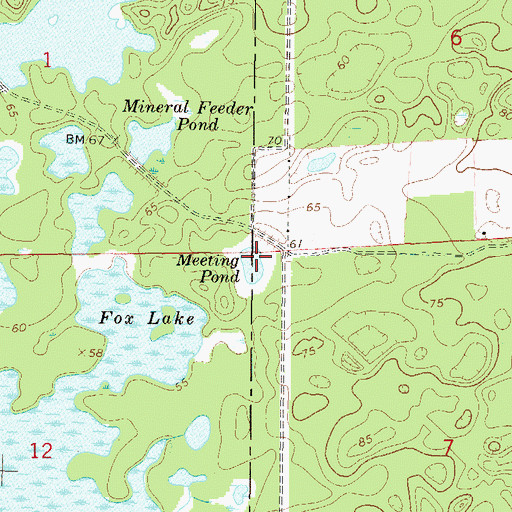 Topographic Map of Meeting Pond, FL