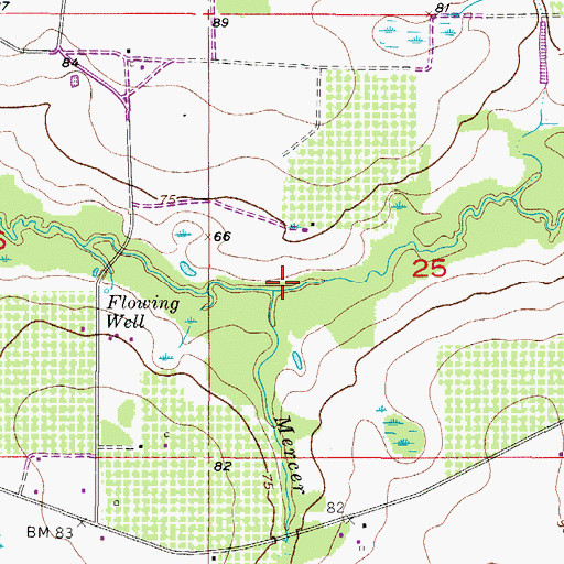 Topographic Map of Mercer Branch, FL