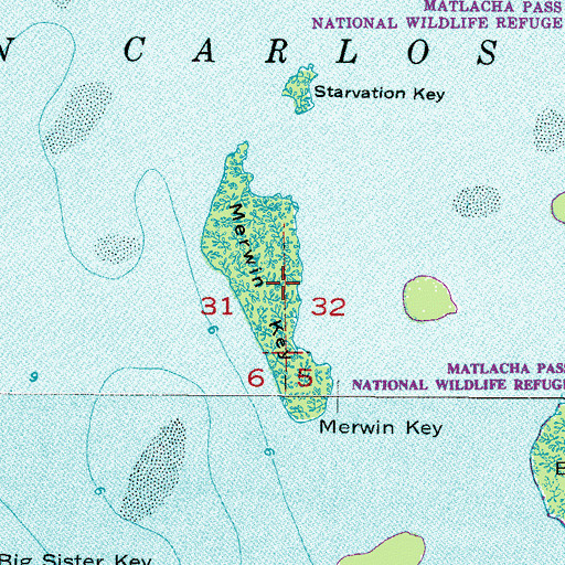 Topographic Map of Merwin Key, FL
