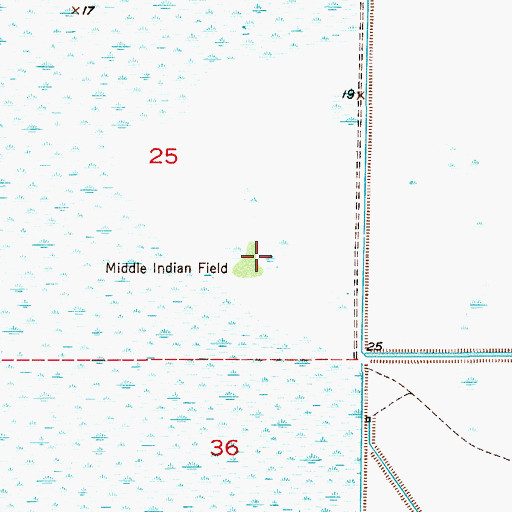 Topographic Map of Middle Indian Field, FL