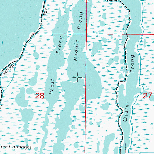 Topographic Map of Middle Prong, FL