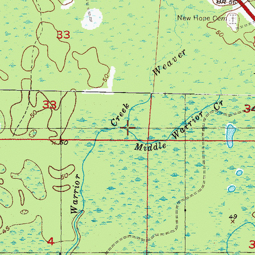 Topographic Map of Middle Warrior Creek, FL