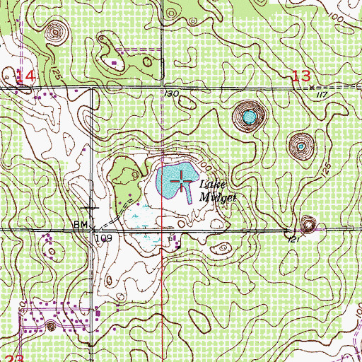 Topographic Map of Lake Midget, FL