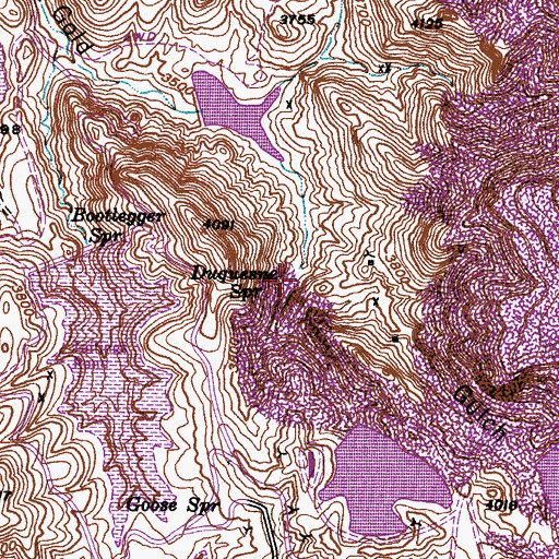 Topographic Map of Duquesne Spring, AZ