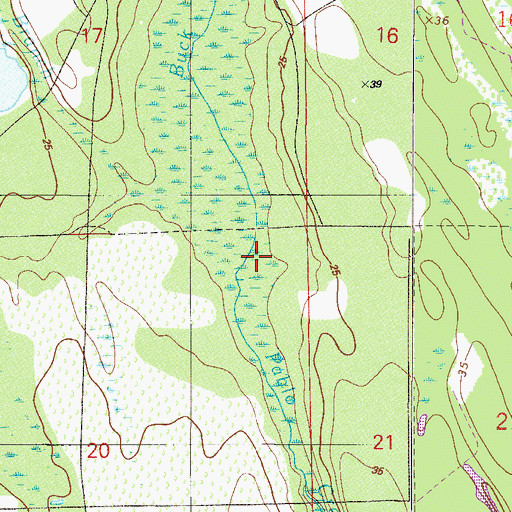 Topographic Map of Mill Dam Branch, FL