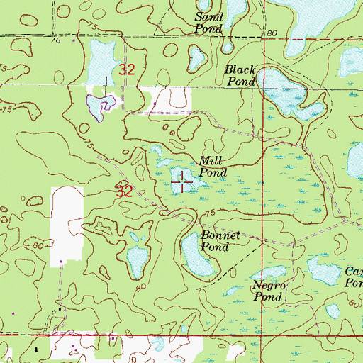 Topographic Map of Mill Pond, FL