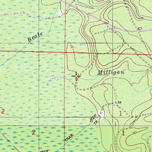 Topographic Map of Milligan Creek, FL