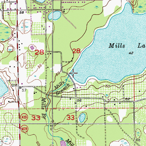 Topographic Map of Mills Branch, FL