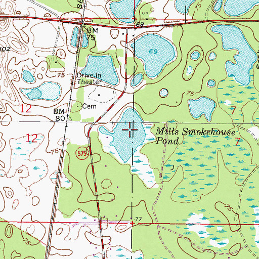 Topographic Map of Mills Smokehouse Pond, FL