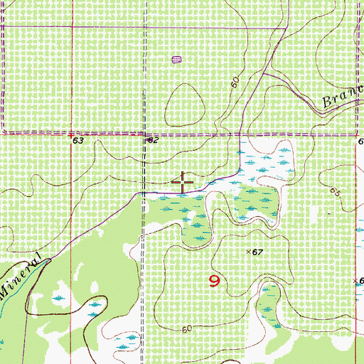 Topographic Map of Mineral Branch, FL