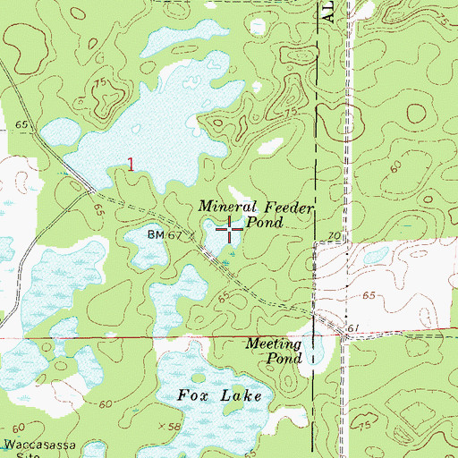 Topographic Map of Mineral Feeder Pond, FL