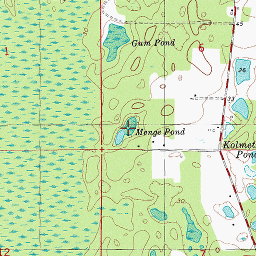 Topographic Map of Menge Pond, FL