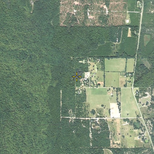 Aerial/Satellite Image of Menge Pond, FL