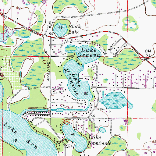 Topographic Map of Lake Minniola, FL