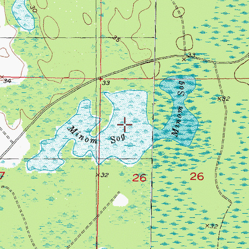 Topographic Map of Minom Sog, FL