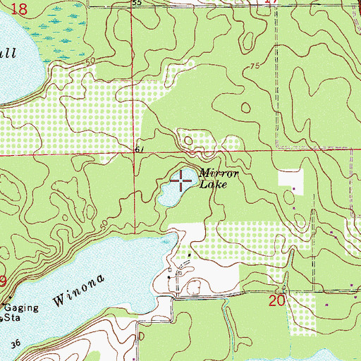 Topographic Map of Mirror Lake, FL