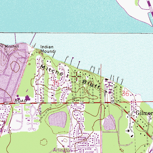 Topographic Map of Mitchell Bluff, FL