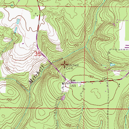 Topographic Map of Mitchell Cemetery, FL