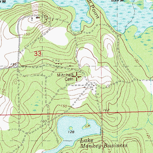 Topographic Map of Mitchell Cemetery, FL