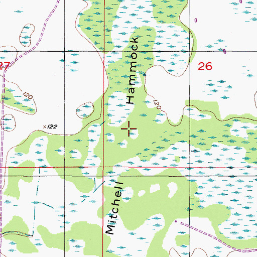 Topographic Map of Mitchell Hammock, FL
