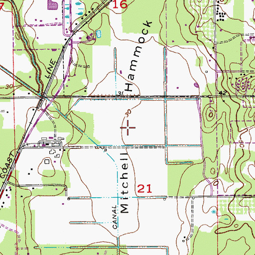Topographic Map of Mitchell Hammock, FL