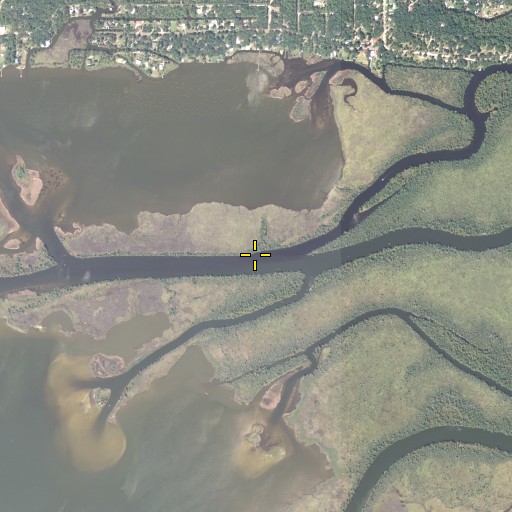 Aerial/Satellite Image of Mitchell River, FL
