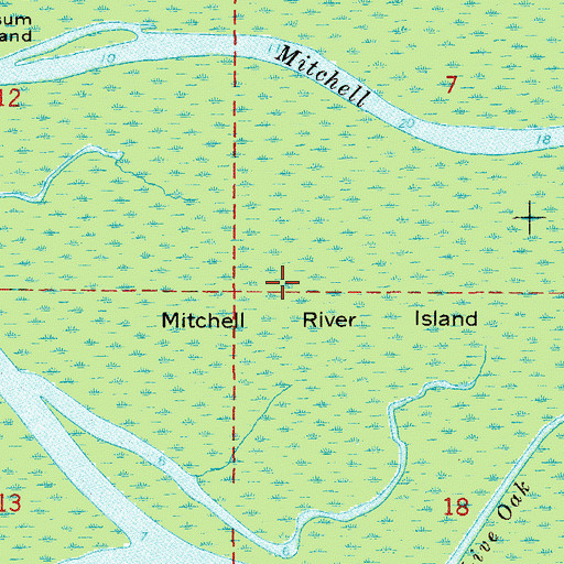 Topographic Map of Mitchell River Island, FL