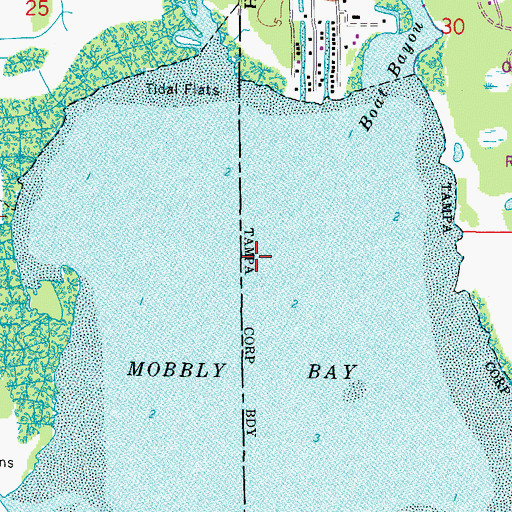 Topographic Map of Mobbly Bay, FL
