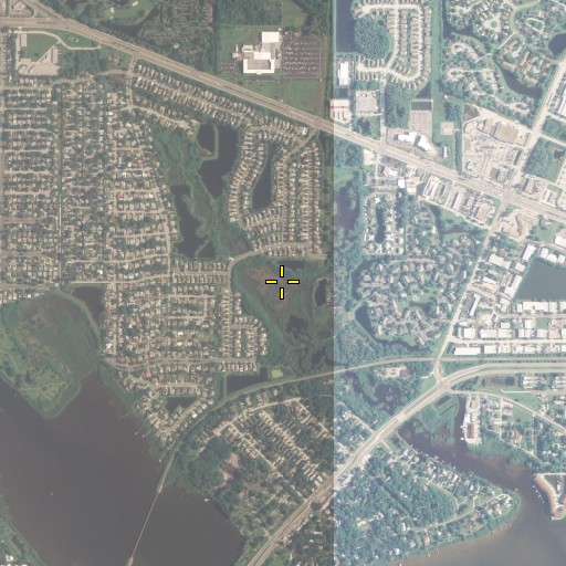 Aerial/Satellite Image of Moccasin, FL
