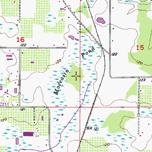 Topographic Map of Moccasin Pond, FL