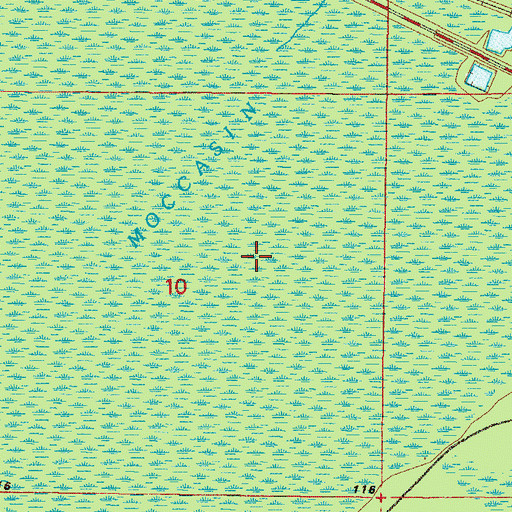 Topographic Map of Moccasin Swamp, FL