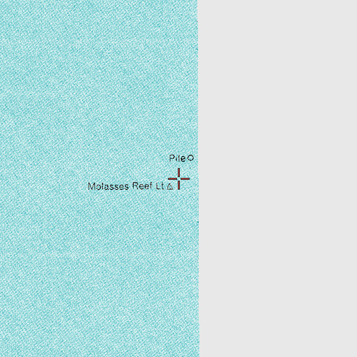 Topographic Map of Molasses Reef Light, FL