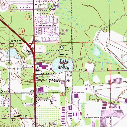 Topographic Map of Lake Molly, FL