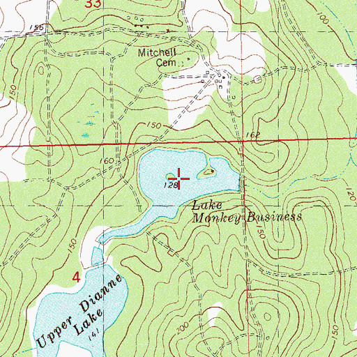 Topographic Map of Lake Monkey Business, FL