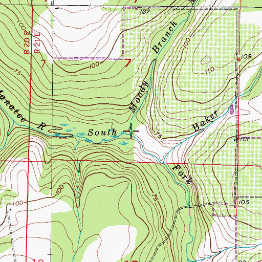 Topographic Map of Moody Branch, FL