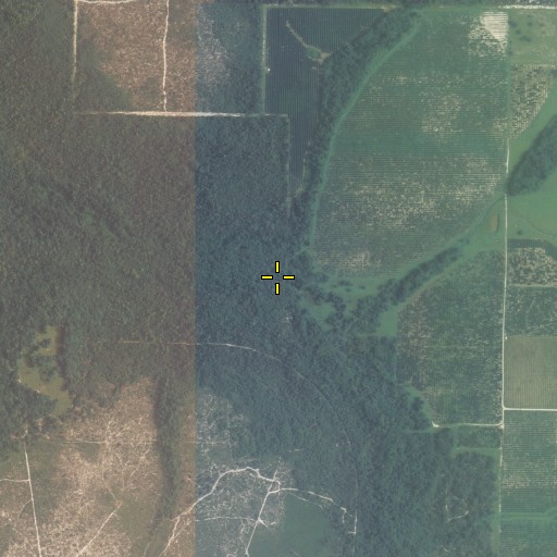 Aerial/Satellite Image of Moody Branch, FL