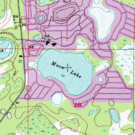Topographic Map of Moon Lake, FL