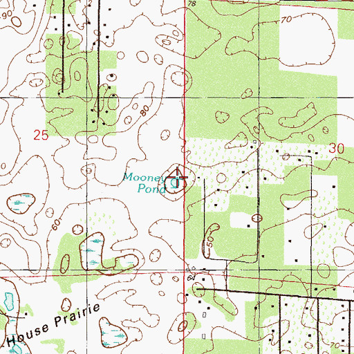Topographic Map of Mooney Pond, FL