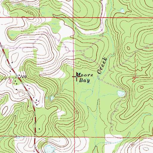 Topographic Map of Moore Bay, FL