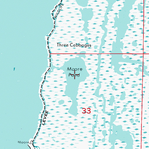 Topographic Map of Moore Pond, FL