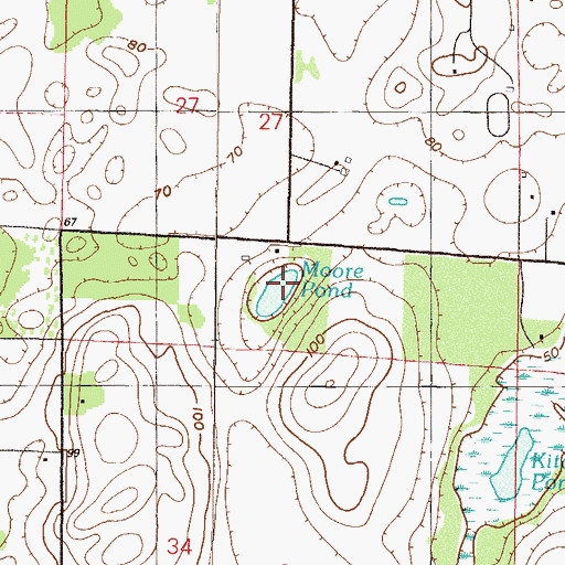 Topographic Map of Moore Pond, FL