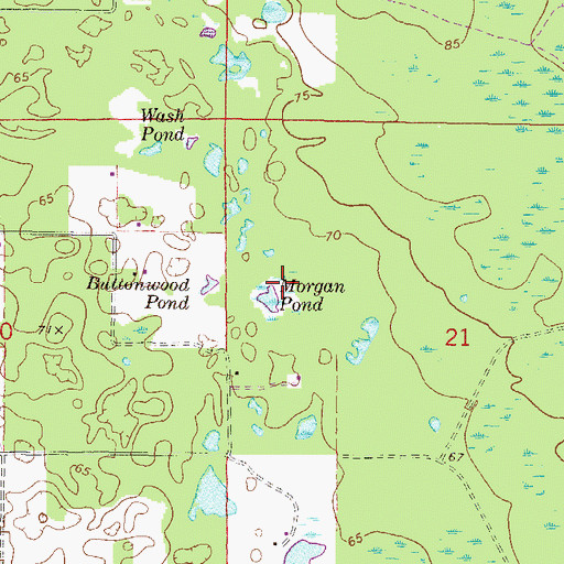 Topographic Map of Morgan Pond, FL