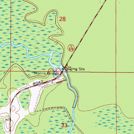 Topographic Map of Morris Bridge, FL
