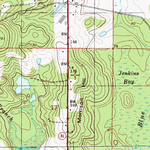 Topographic Map of Morrison Hill, FL