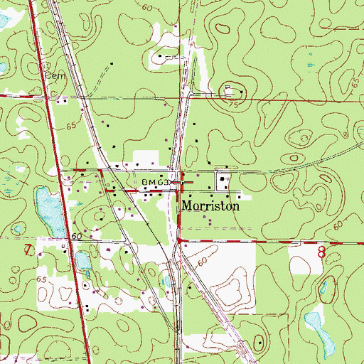 Topographic Map of Morriston, FL