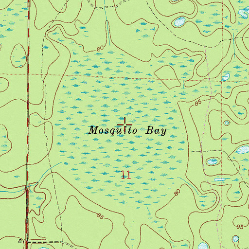 Topographic Map of Mosquito Bay, FL